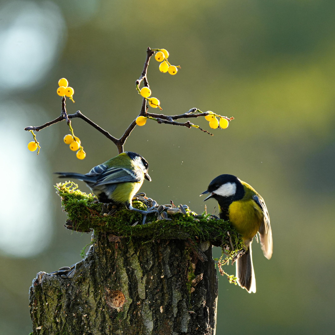 Why it Matters in CT