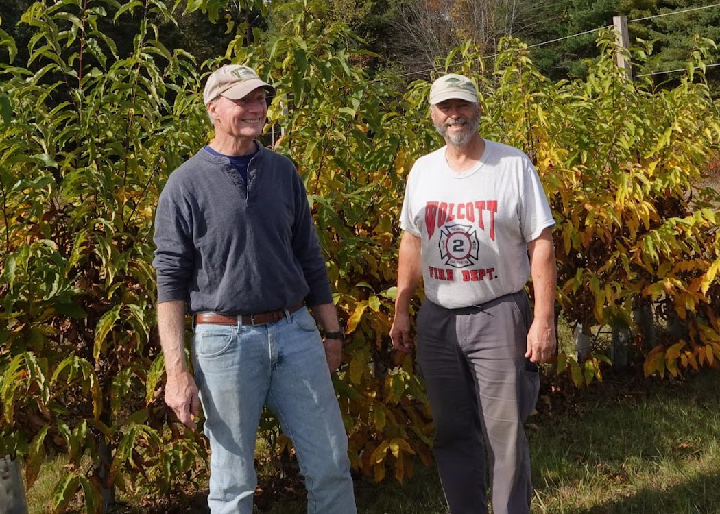 Chestnut talk & walk (5) BD