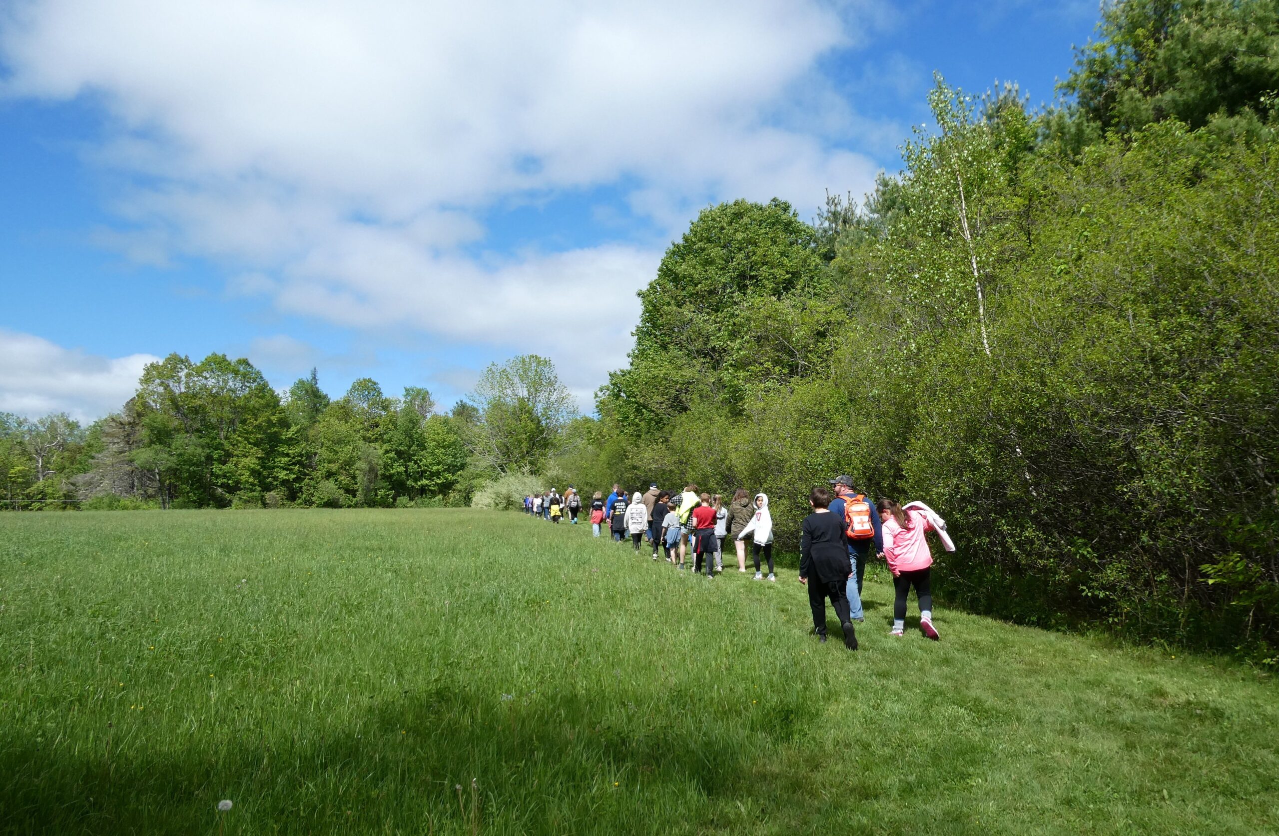 Crossing the field (BD)